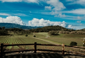 ASSET MANAGEMENT SPAIN - GESTMADRID foto