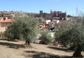 Parcela urbanizable en venta en la EX-118, Guadalupe, ref: TR42759 foto
