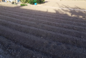 Port Saplaya 1000&nbsp;m² 