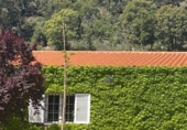 Finca rústica en venda a la CM-4171, Espinoso del Rey, ref.: TR27456 foto
