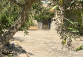 Finca rústica en venda a la CM-4171, Espinoso del Rey, ref.: TR27456 foto