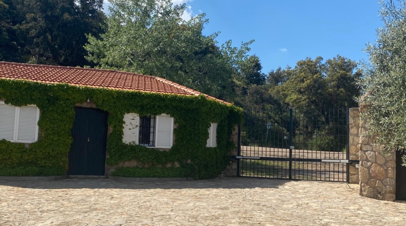 Toledo - Espinoso del Rey - 40000m2