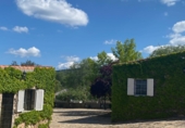 Finca rústica en venda a la CM-4171, Espinoso del Rey, ref.: TR27456 foto