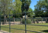 Finca rústica en venda a la CM-4171, Espinoso del Rey, ref.: TR27456 foto