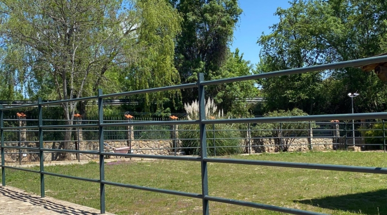 Toledo - Espinoso del Rey - 40000m2