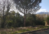 Sòl urbà en venda a la Calle calvo sotelo 587, Riells, ref.: TR42951 foto