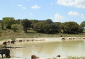 Finca rústica en venta en la tordesillas, Tordesillas, ref: TR42953 foto