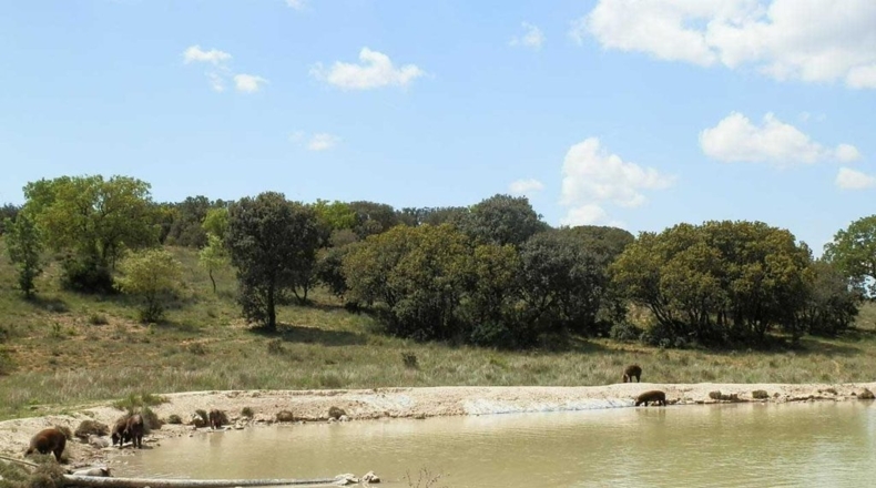Valladolid - Tordesillas - 3100000m2