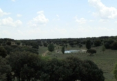 Finca rústica en venta en la tordesillas, Tordesillas, ref: TR42953 foto