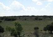 Finca rústica en venta en la tordesillas, Tordesillas, ref: TR42953 foto