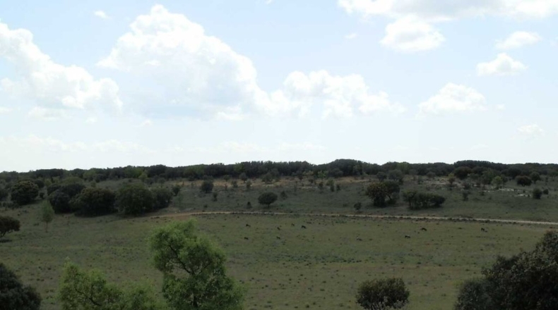 Valladolid - Tordesillas - 3100000m2