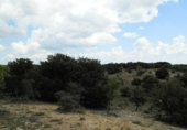 Finca rústica en venta en la tordesillas, Tordesillas, ref: TR42953 foto