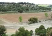 Finca rústica en venta en la tordesillas, Tordesillas, ref: TR42953 foto