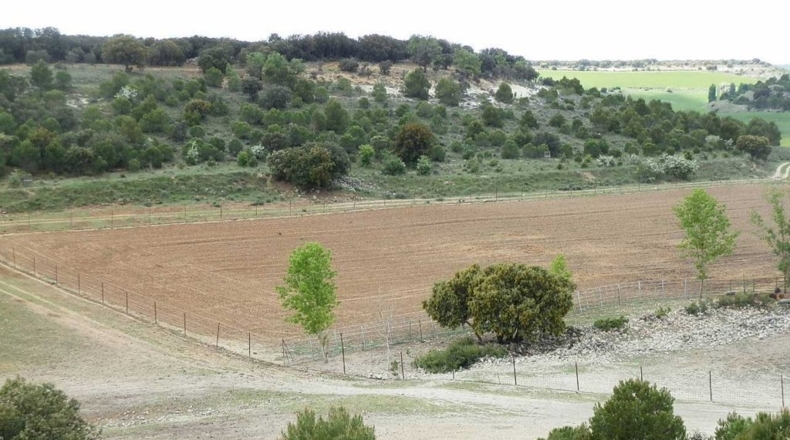 Valladolid - Tordesillas - 3100000m2