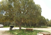 Finca rústica en venta en la tordesillas, Tordesillas, ref: TR42953 foto