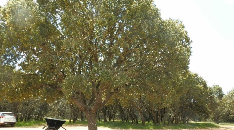 Valladolid - Tordesillas - 3100000m2
