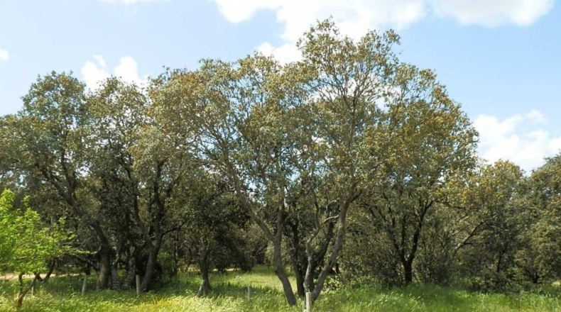 Valladolid - Tordesillas - 3100000m2