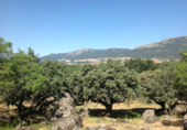 Земельный участок на продажу в городе El Escorial Фото