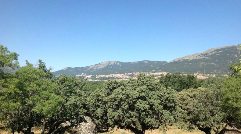 Comunidad de Madrid - El Escorial - 282625m2