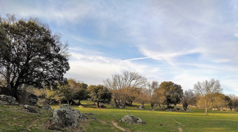 Comunidad de Madrid - El Escorial - 282625m2