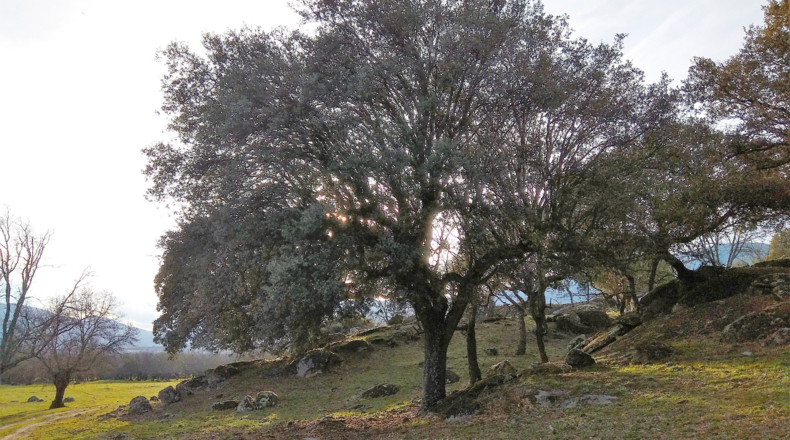 Comunidad de Madrid - El Escorial - 282625m2