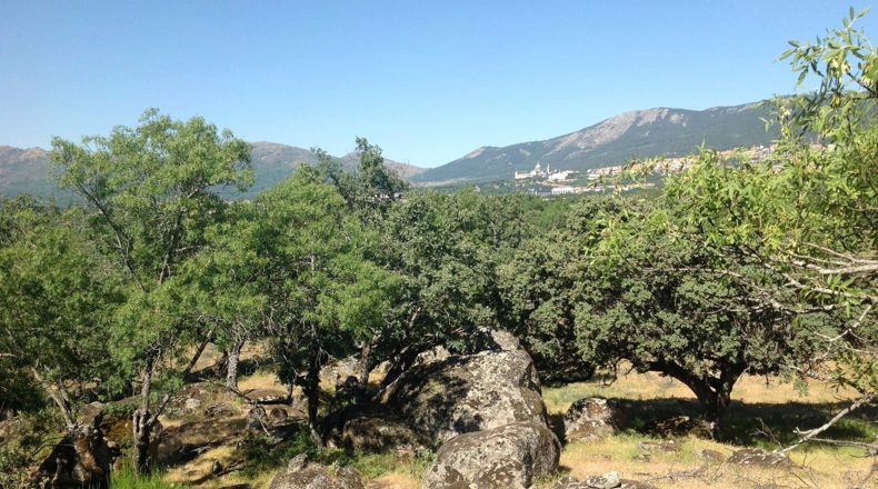 Comunidad de Madrid - El Escorial - 282625m2