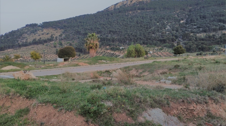 Jaén - Mancha Real - 500m2