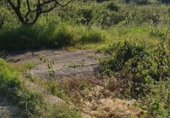 Non-developable land for sale on Poligono9 parcela 27, Barx, ref: TR42980 photo