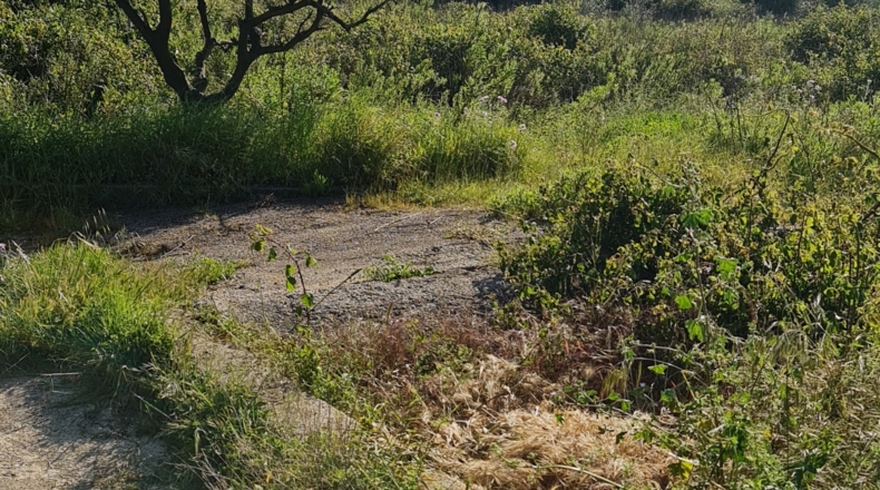 Valencia - Bárig - 1210m2