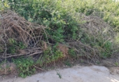 Non-developable land for sale on Poligono9 parcela 27, Barx, ref: TR42980 photo