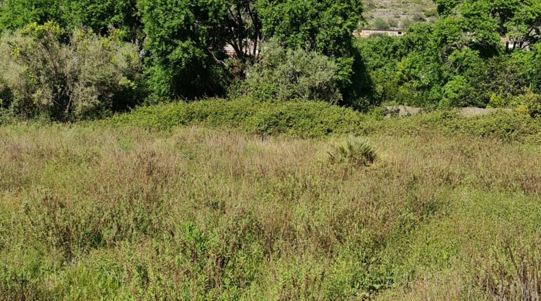 Valencia - Bárig - 1210m2