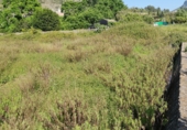 Non-developable land for sale on Poligono9 parcela 27, Barx, ref: TR42980 photo
