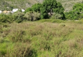 Non-developable land for sale on Poligono9 parcela 27, Barx, ref: TR42980 photo