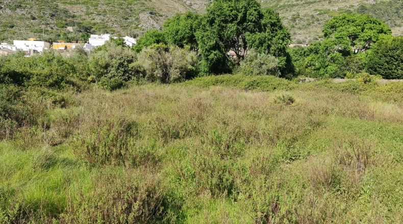 Valencia - Bárig - 1210m2
