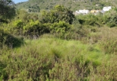 Non-developable land for sale on Poligono9 parcela 27, Barx, ref: TR42980 photo