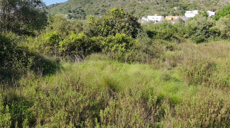 Valencia - Bárig - 1210m2