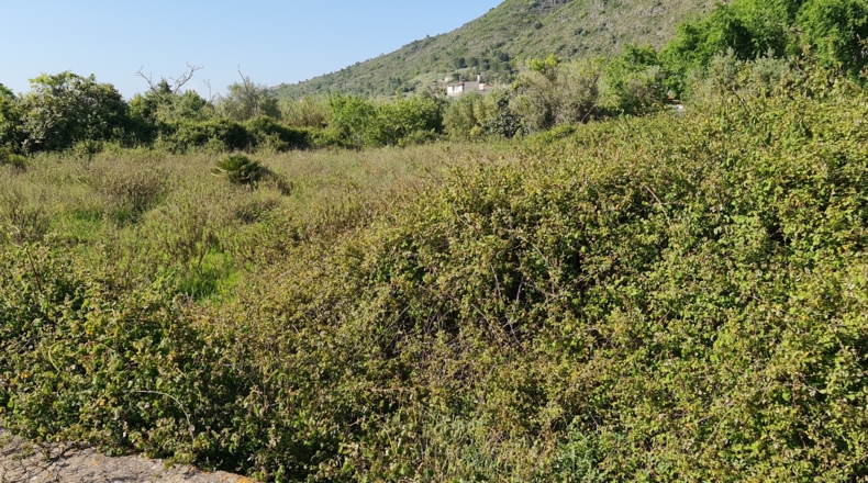 Valencia - Bárig - 1210m2
