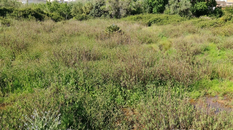 Valencia - Bárig - 1210m2