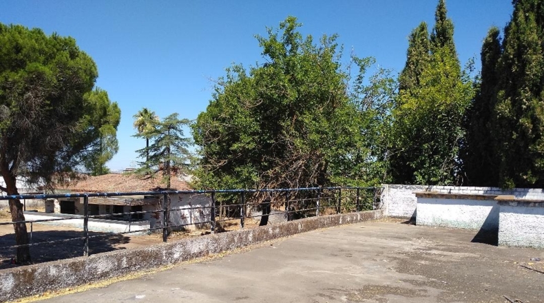Badajoz - Badajoz - 12000m2