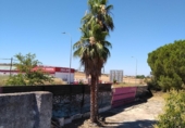 Parcel·la urbanitzable en venda a la CARRETERA DE OLIVENZA km2, Badajoz, ref.: TR43091 foto