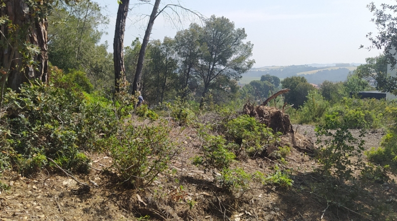 Barcelona - Piera - 772m2