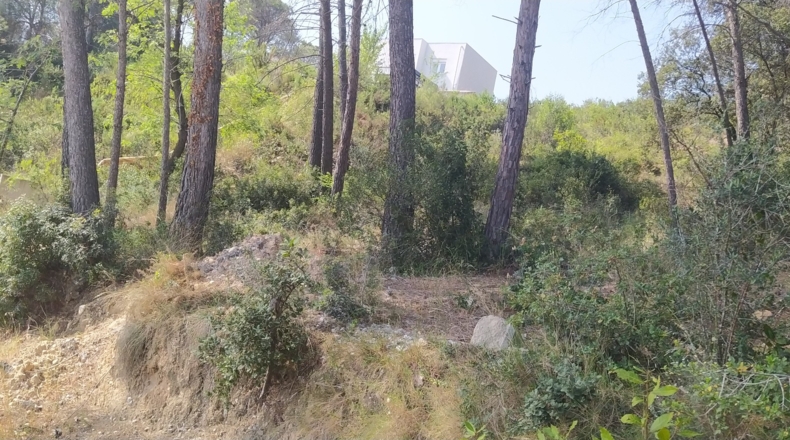 Barcelona - Piera - 772m2