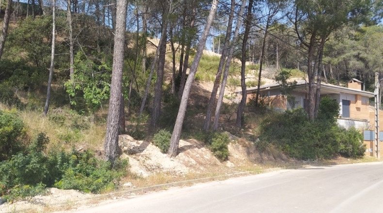 Barcelona - Piera - 772m2