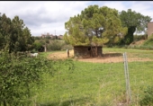 Land suitable for development for sale on Carretera de Corca a Bordils, Madremanya, ref: TR43144 photo