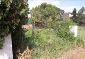 Land suitable for development for sale on Carretera de Corca a Bordils, Madremanya, ref: TR43144 photo