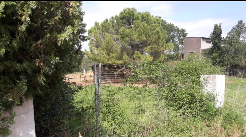Gerona - Madremanya - 5500m2