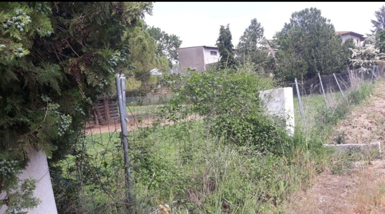 Gerona - Madremanya - 5500m2