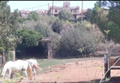 Land suitable for development for sale on Carretera de Corca a Bordils, Madremanya, ref: TR43144 photo