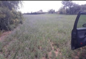 Land suitable for development for sale on Carretera de Corca a Bordils, Madremanya, ref: TR43144 photo