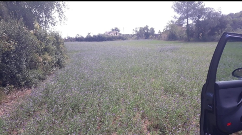 Gerona - Madremanya - 5500m2
